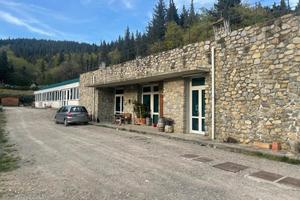 CALENZANO Azienda agricola
