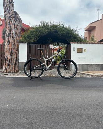 MTB Pivot firebird 29 L 2021