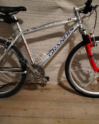 MTB Grandis