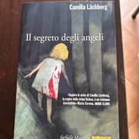 Il segreto degli angeli