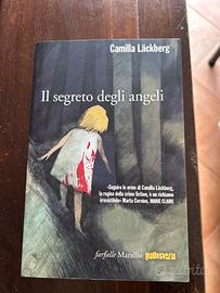 Il segreto degli angeli