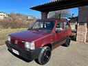 fiat-panda-1000-4x4-clx-doppio-tetto-apribile