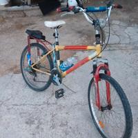 bicicletta lobardo con modifiche 