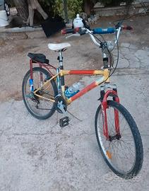 bicicletta lobardo con modifiche 