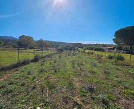 Terreno agricolo recintato di 1875 mq