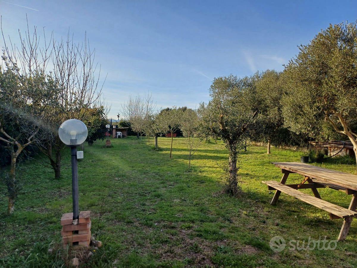 Terreno Agricolo Grosseto [Cod. rif 3131592VCG] - Vista 2