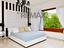 Immagine 18