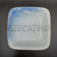 CIOTOLA GABBIANI COPE