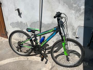 Bicicletta 