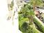 Immagine 27