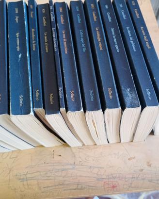 Camilleri Sellerio Romanzi Montalbano