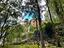 Immagine 15