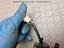 Immagine 11
