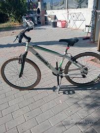 Bicicletta 26