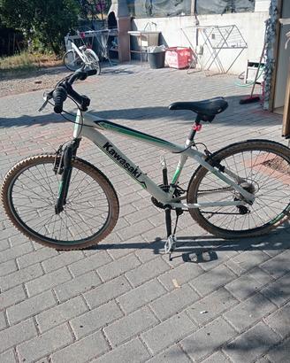 Bicicletta 26