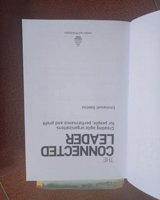 Gobillot, E. (2007). The Connected leader. Creatin
