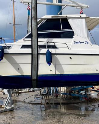 Acquaviva Fiberglass seaborn top