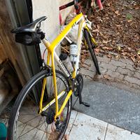 Daccordi Fly- Bici da corsa