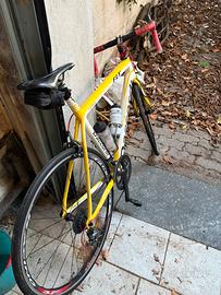 Daccordi Fly- Bici da corsa