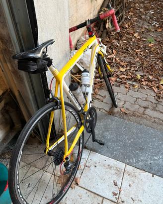 Daccordi Fly- Bici da corsa