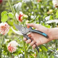 Lavori di giardinaggio