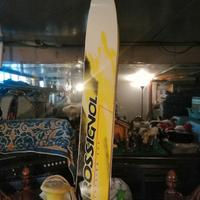 sci rossignol 