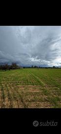 Terreno a Bari Sardo