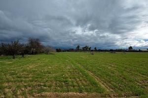 Terreno a Bari Sardo