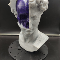 Statua David (Michelangelo) skull, teschio