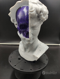 Statua David (Michelangelo) skull, teschio