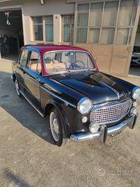 fiat 1100