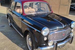 fiat 1100