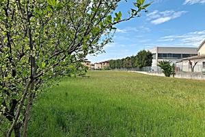 Terreno Manerbio zona produttiva