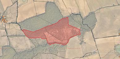 Colle Val D'Elsa (SI) - Terreno di 12,5 ha | TR394