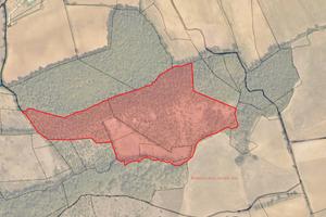 Colle Val D'Elsa (SI) - Terreno di 12,5 ha | TR394