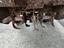 Immagine 6