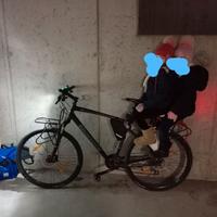 Seggiolino bici gemellare