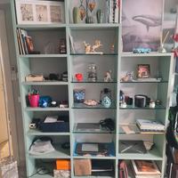 divisorio libreria scaffalatura