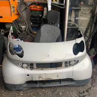 Plastiche anteriori musetto musata smart 450