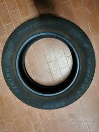 Gomme copertoni estivi Fiat Grande Punto