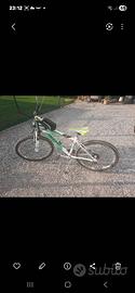 mountain bike raggio 26
