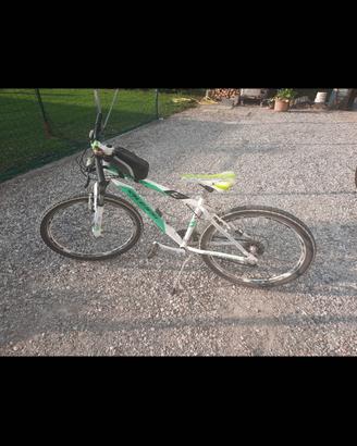 mountain bike raggio 26