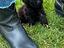 Immagine 1