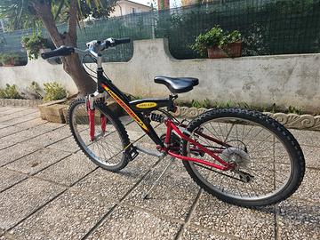 bottecchia