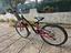 Immagine 1