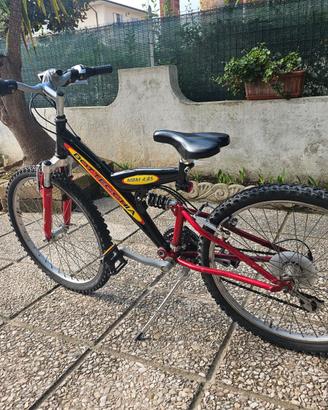 bottecchia