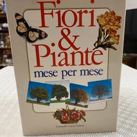 Enciclopedia completa