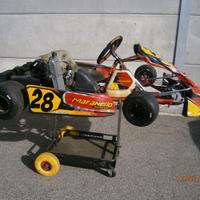 n.2 kart 125 rotax monomarcia con carrello