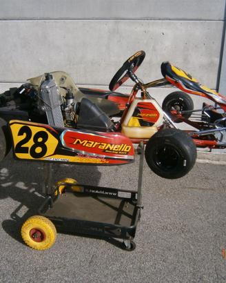 n.2 kart 125 rotax monomarcia con carrello