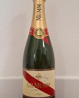 2x bottiglie Champagne MUMM Gordon Rouge Brut 